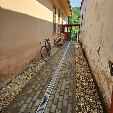 Kaktusovy Dom